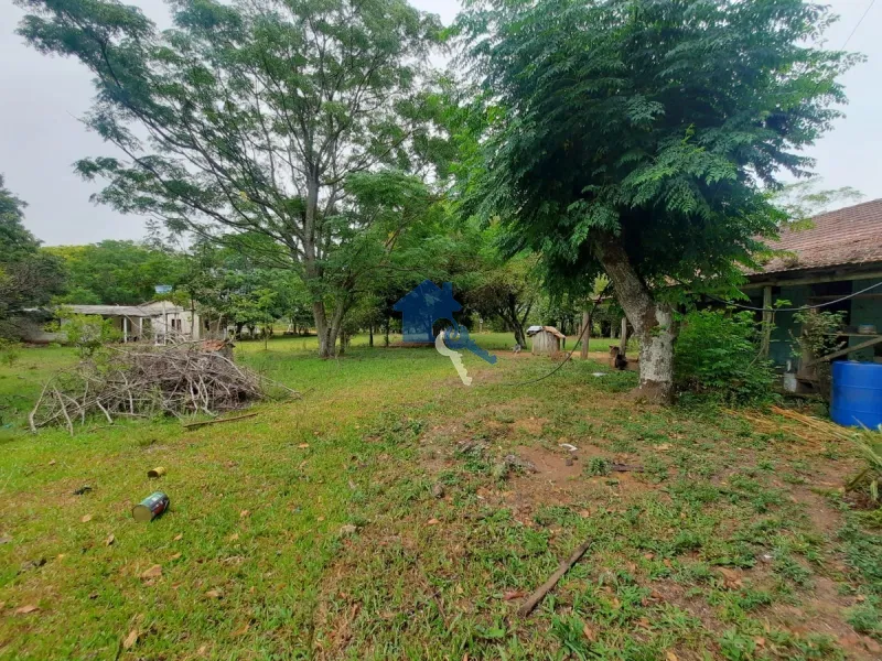 Chácara 5 km da UFSM / Estr. Pedro Fernandes Silveira - Arroio do Só: 15ª foto da galeria de imagens do imóvel
