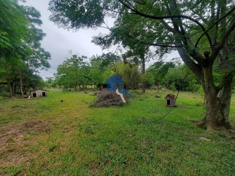 Chácara 5 km da UFSM / Estr. Pedro Fernandes Silveira - Arroio do Só: 6ª foto da galeria de imagens do imóvel
