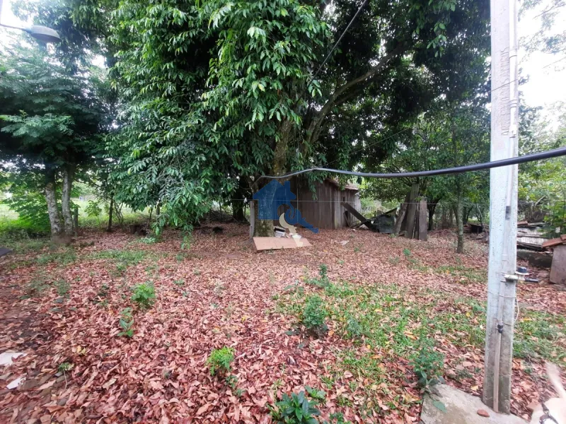 Chácara 5 km da UFSM / Estr. Pedro Fernandes Silveira - Arroio do Só: 7ª foto da galeria de imagens do imóvel