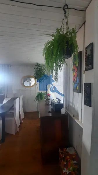 Chalé no Bairro Pinheiro Machado aceita permuta por apartamento: 12ª foto da galeria de imagens do imóvel