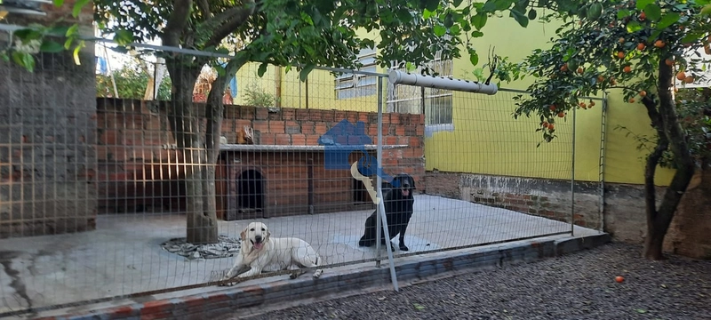Casa 3 dormitórios / Tancredo Neves: 13ª foto da galeria de imagens do imóvel