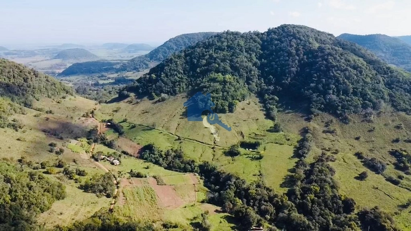 Uma ótima área para pecuária a 8km do centro de São Pedro do Sul-RS: 7ª foto da galeria de imagens do imóvel