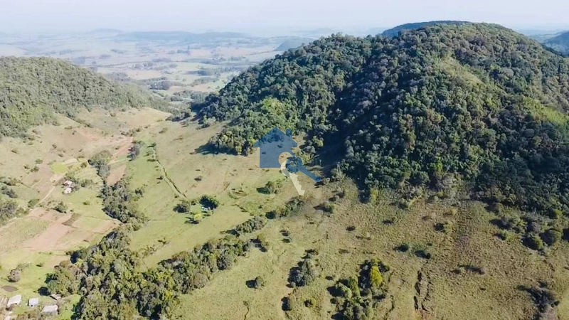 Uma ótima área para pecuária a 8km do centro de São Pedro do Sul-RS: 3ª foto da galeria de imagens do imóvel