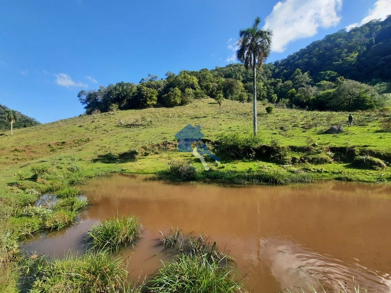Uma ótima área para pecuária a 8km do centro de São Pedro do Sul-RS: 1ª foto da galeria de imagens do imóvel