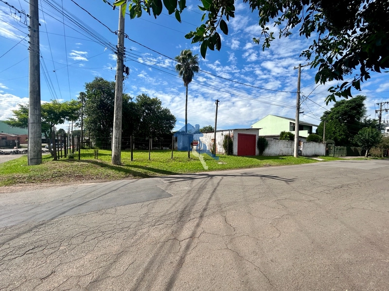 Terreno frente para BR: 2ª foto da galeria de imagens do imóvel