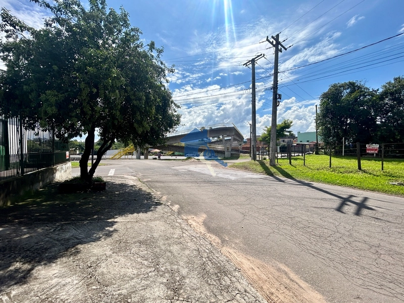 Terreno frente para BR: 3ª foto da galeria de imagens do imóvel