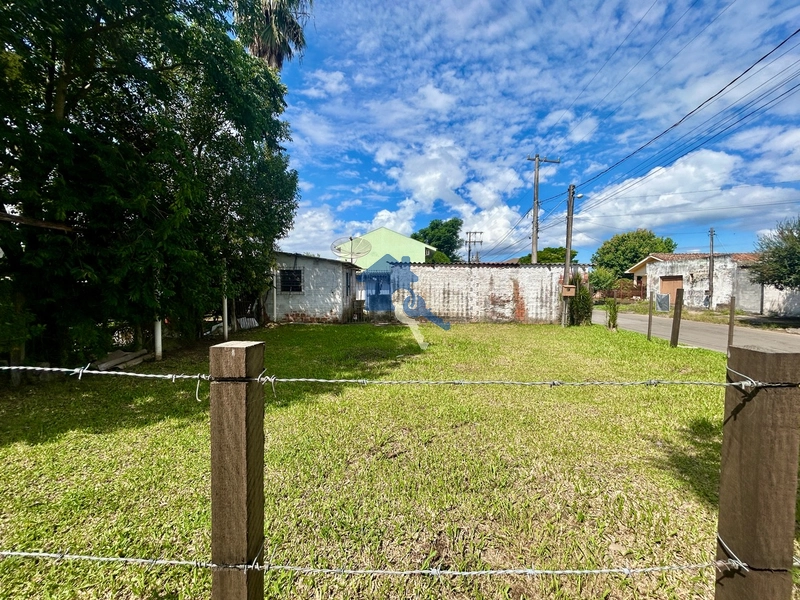 Terreno frente para BR: 1ª foto da galeria de imagens do imóvel