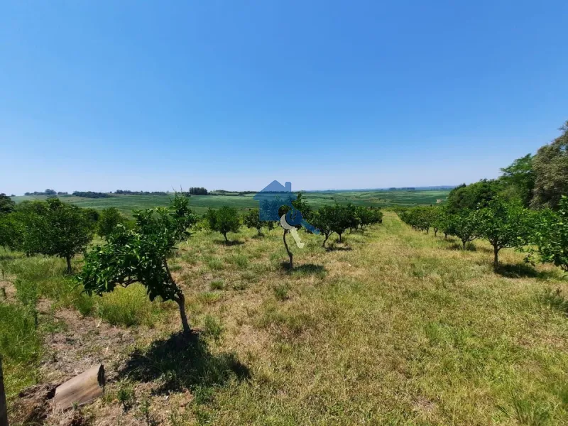 São 12 hectares com 80% de aproveitamento / Pains: 50ª foto da galeria de imagens do imóvel