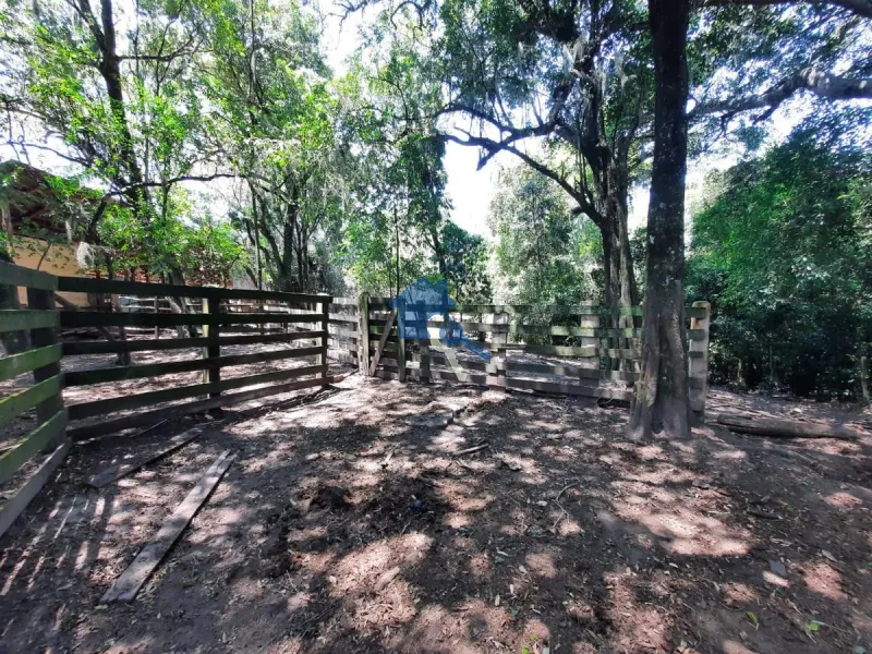 São 12 hectares com 80% de aproveitamento / Pains: 40ª foto da galeria de imagens do imóvel