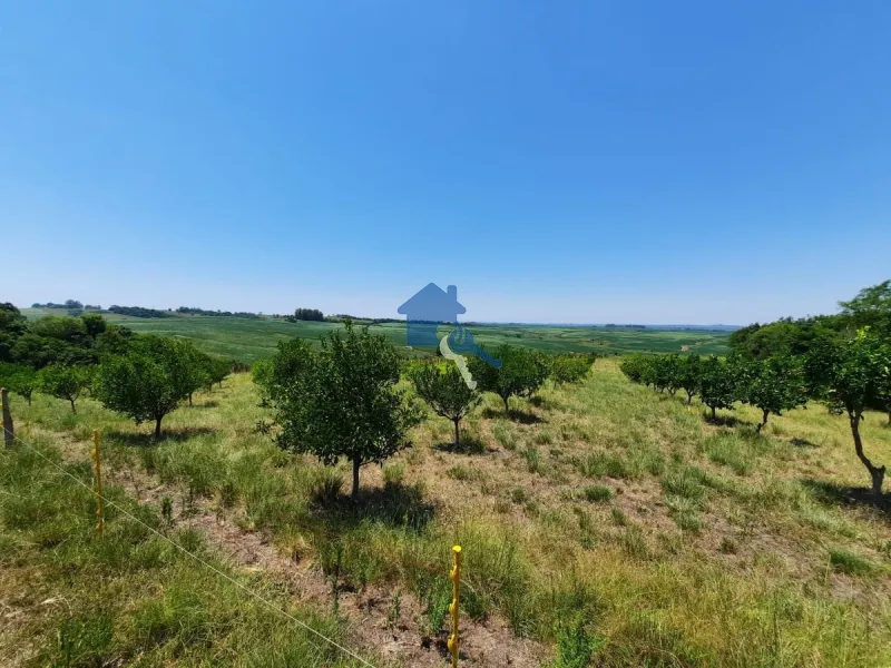 São 12 hectares com 80% de aproveitamento / Pains: 48ª foto da galeria de imagens do imóvel
