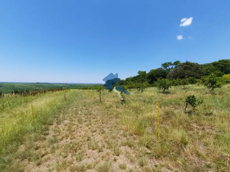 São 12 hectares com 80% de aproveitamento / Pains: 47ª foto da galeria de imagens do imóvel