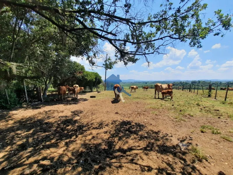 São 12 hectares com 80% de aproveitamento / Pains: 37ª foto da galeria de imagens do imóvel