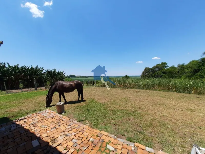 São 12 hectares com 80% de aproveitamento / Pains: 24ª foto da galeria de imagens do imóvel
