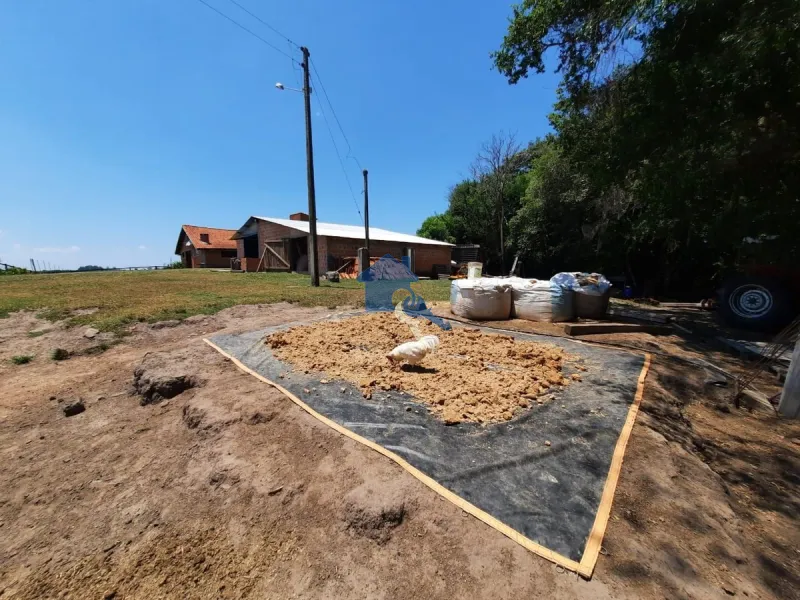 São 12 hectares com 80% de aproveitamento / Pains: 36ª foto da galeria de imagens do imóvel