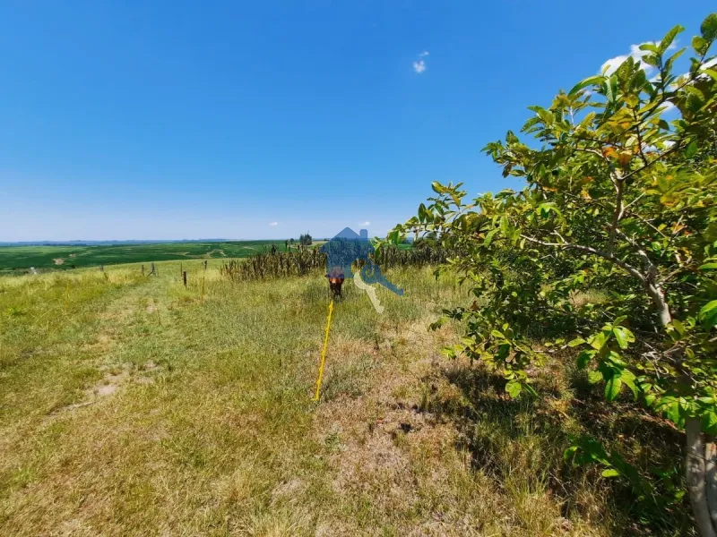 São 12 hectares com 80% de aproveitamento / Pains: 45ª foto da galeria de imagens do imóvel