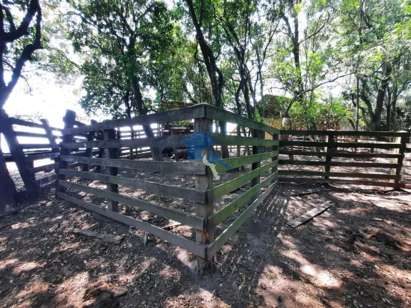 São 12 hectares com 80% de aproveitamento / Pains: 41ª foto da galeria de imagens do imóvel