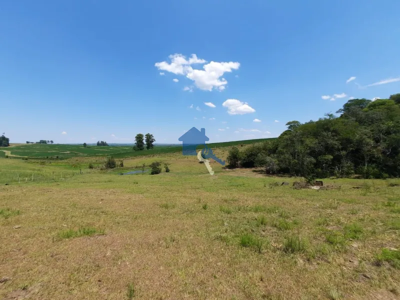 São 12 hectares com 80% de aproveitamento / Pains: 43ª foto da galeria de imagens do imóvel