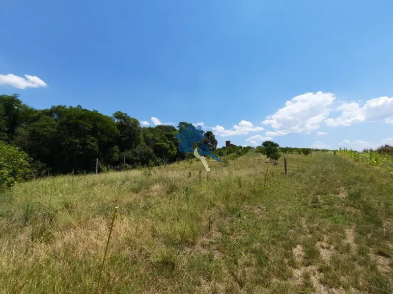 São 12 hectares com 80% de aproveitamento / Pains: 46ª foto da galeria de imagens do imóvel
