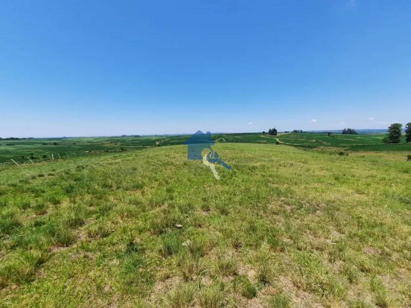 São 12 hectares com 80% de aproveitamento / Pains: 44ª foto da galeria de imagens do imóvel