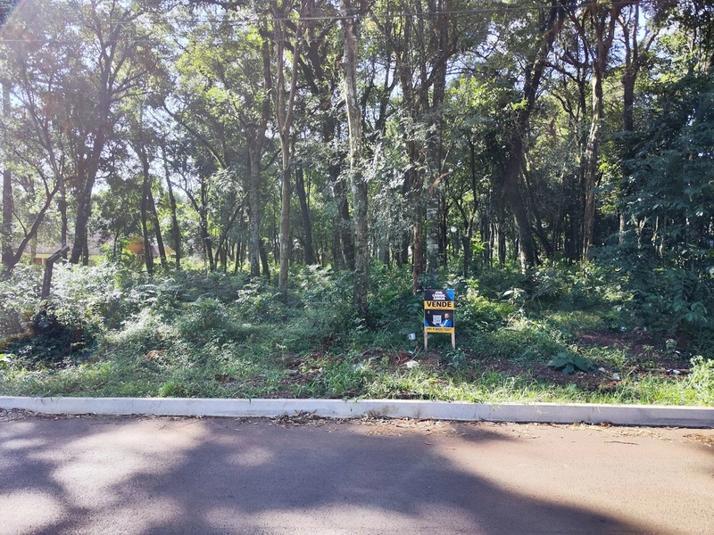 Terreno na Av. Santa Paulina: 5ª foto da galeria de imagens do imóvel