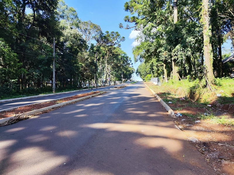 Terreno na Av. Santa Paulina: 3ª foto da galeria de imagens do imóvel