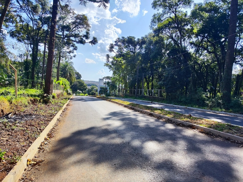 Terreno na Av. Santa Paulina: 2ª foto da galeria de imagens do imóvel