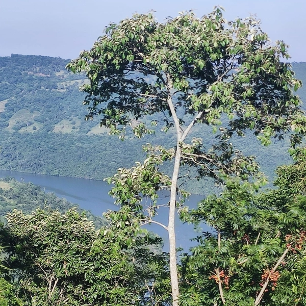Terreno no Villagos: 10ª foto da galeria de imagens do imóvel