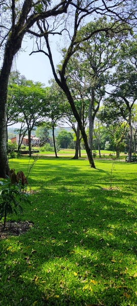 Terreno no Condomínio Don Guilherme: 2ª foto da galeria de imagens do imóvel
