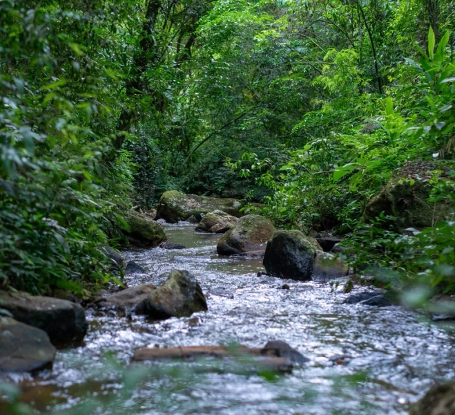 Terreno no Real Park!: 7ª foto da galeria de imagens do imóvel