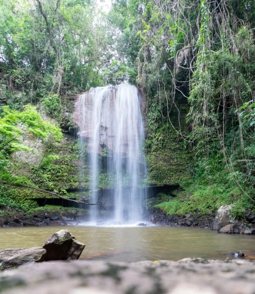 Terreno no Real Park!: 12ª foto da galeria de imagens do imóvel
