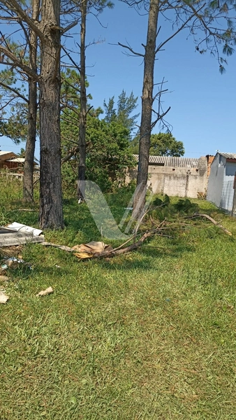 Terreno no Bairro BALNEÁRIO HARMONIA, Imbé: 2ª foto da galeria de imagens do imóvel
