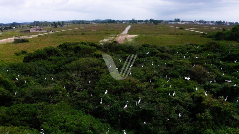 Terreno no Bairro planejado VERDE MAR, Curumim: 14ª foto da galeria de imagens do imóvel