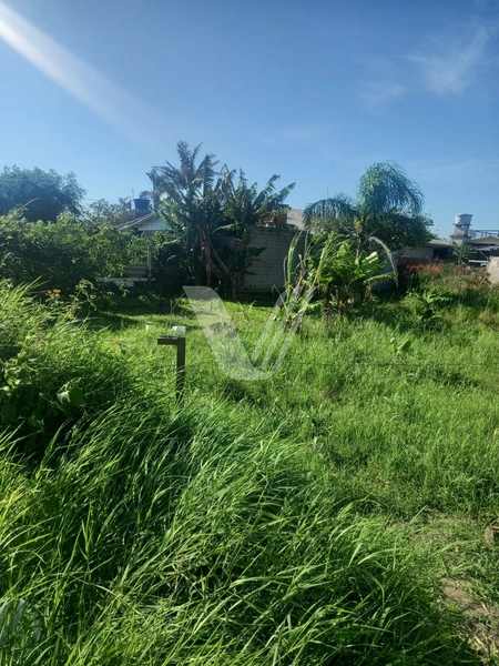 Terreno no Bairro ARPOADOR, Xangri-Lá: 2ª foto da galeria de imagens do imóvel