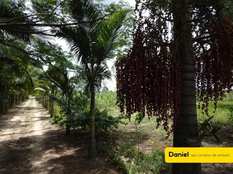 LINDA CHÁCARA EM SOMBRIO RODEADA POR MUITO VERDE: 5ª foto da galeria de imagens do imóvel