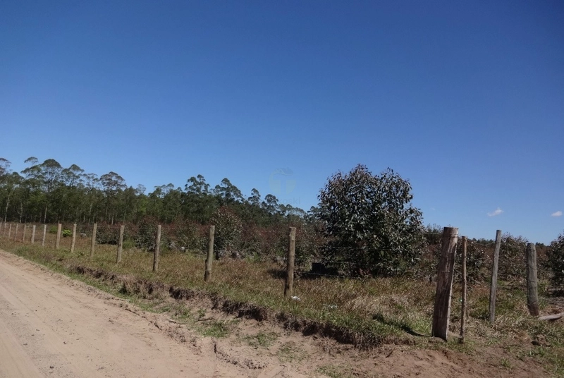 30 HECTARES DE TERRAS PARA PASTAGEM E OUTRAS ATIVIDADES: 12ª foto da galeria de imagens do imóvel