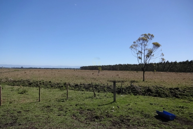 30 HECTARES DE TERRAS PARA PASTAGEM E OUTRAS ATIVIDADES: 3ª foto da galeria de imagens do imóvel