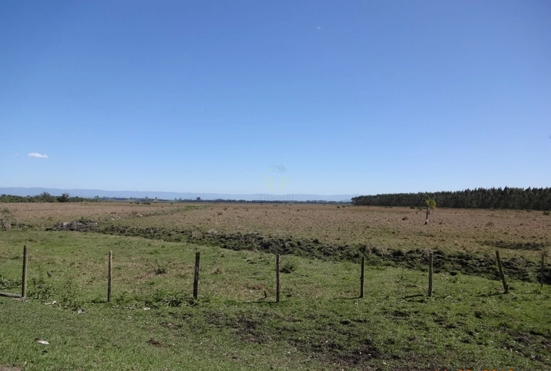 30 HECTARES DE TERRAS PARA PASTAGEM E OUTRAS ATIVIDADES: 2ª foto da galeria de imagens do imóvel