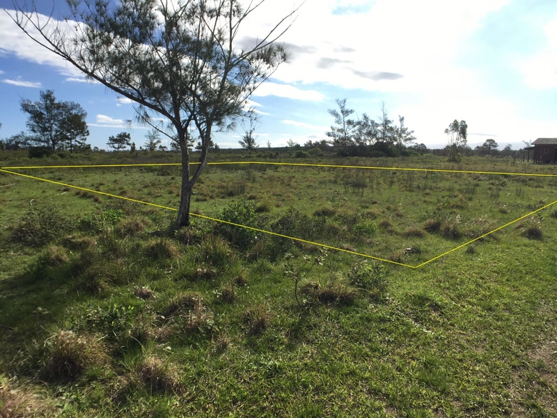 TERRENO A 500M DO MAR NO BAIRRO LAGOINHAS: 4ª foto da galeria de imagens do imóvel