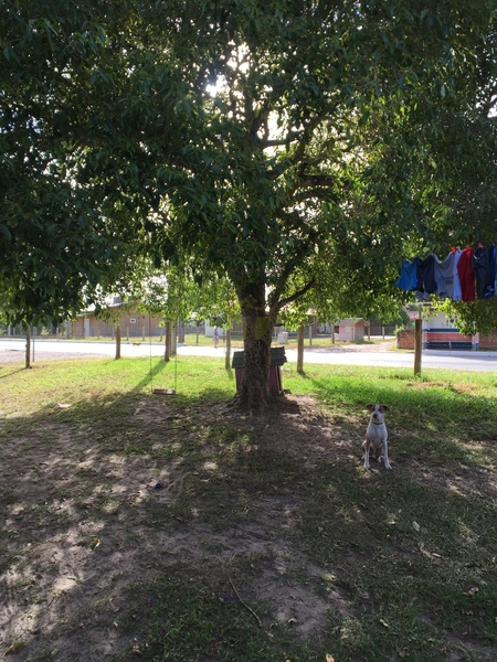 CASA MISTA DE ESQUINA NAS PROXIMIDADES DA LAGOA: 4ª foto da galeria de imagens do imóvel