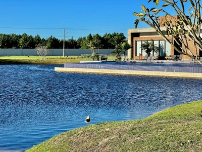 Arenas