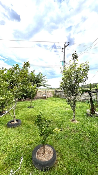 CHÁCARA À VENDA TERRA DE AREIA: 12ª foto da galeria de imagens do imóvel