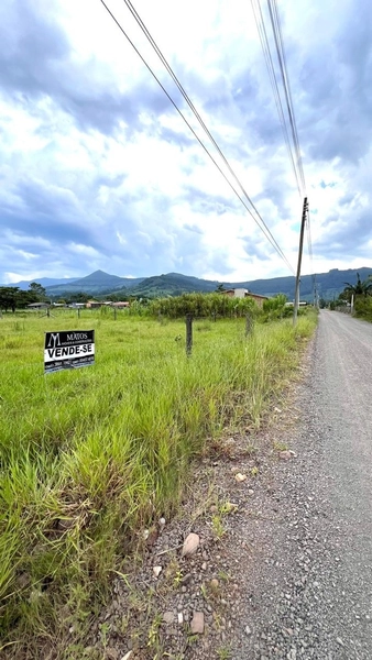 LOTES À VENDA EM TERRA DE AREIA: 4ª foto da galeria de imagens do imóvel