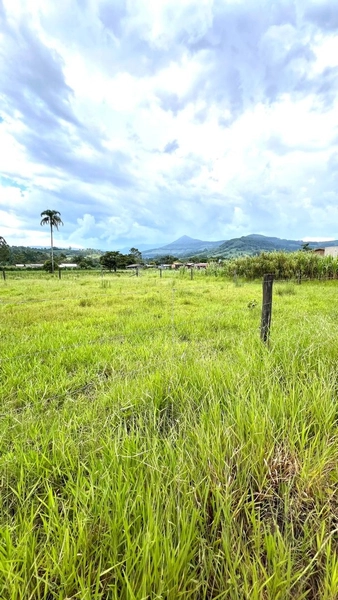 LOTES À VENDA EM TERRA DE AREIA: 3ª foto da galeria de imagens do imóvel
