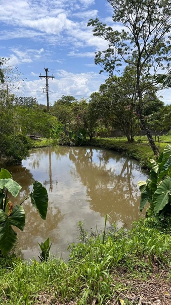 CASA NA SANGA FUNDA: 18ª foto da galeria de imagens do imóvel