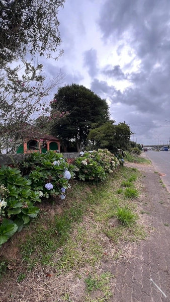 TERRENO NO CENTRO DE TERRA DE AREIA: 2ª foto da galeria de imagens do imóvel