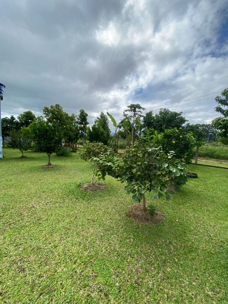 CASA À VENDA NO BAIRRO BOA VISTA: 8ª foto da galeria de imagens do imóvel