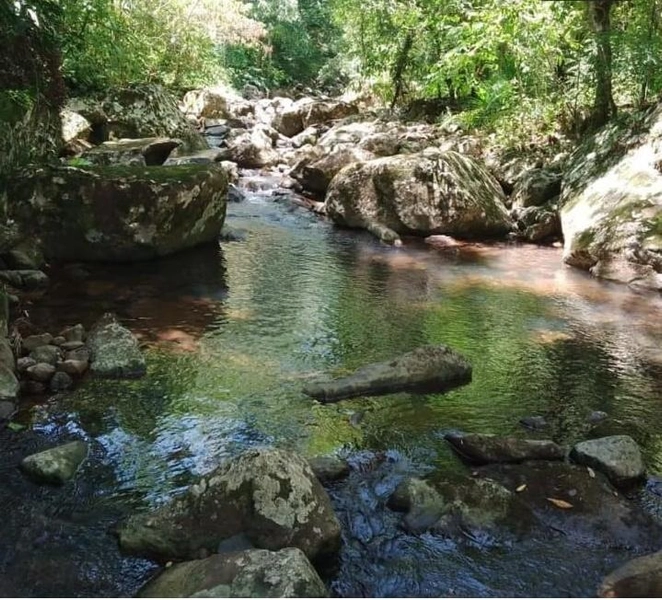 SÍTIO À VENDA EM ITATI: 6ª foto da galeria de imagens do imóvel