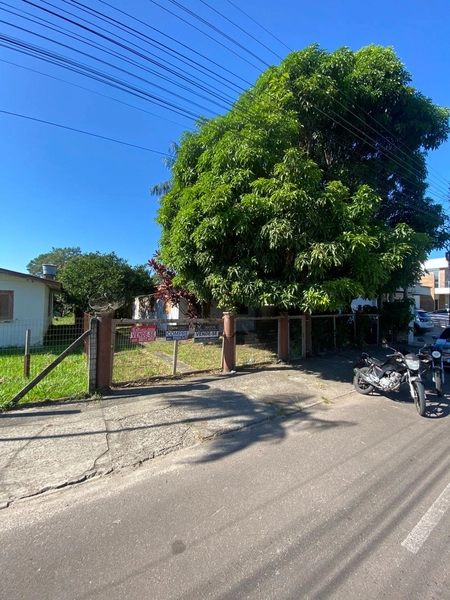 TERRENO À VENDA  EM TERRA DE AREIA: 2ª foto da galeria de imagens do imóvel