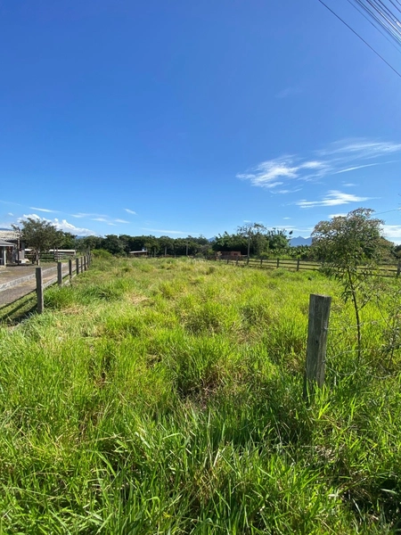 TERRENO  À VENDA NA RS 486 (ROTA DO SOL): 3ª foto da galeria de imagens do imóvel