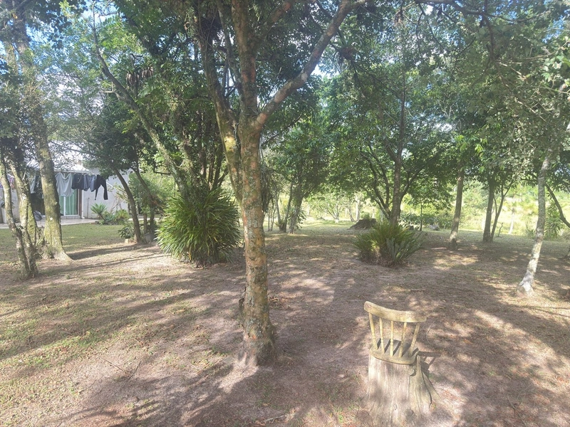 SÍTIO À VENDA PRÓXIMO À TERRA DE AREIA: 7ª foto da galeria de imagens do imóvel